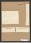 Rhabdonema adriaticum Kuetz. (de-Toni-Nr.: Genus 95, Species 3072) Zeichnungen Sammlung Grunow Nr. 6298 (NHMW-BOT-W0374920)